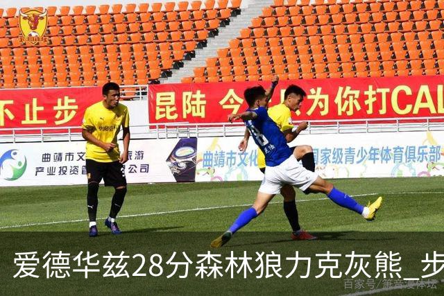 爱德华兹28分森林狼力克灰熊 步行者险胜国王